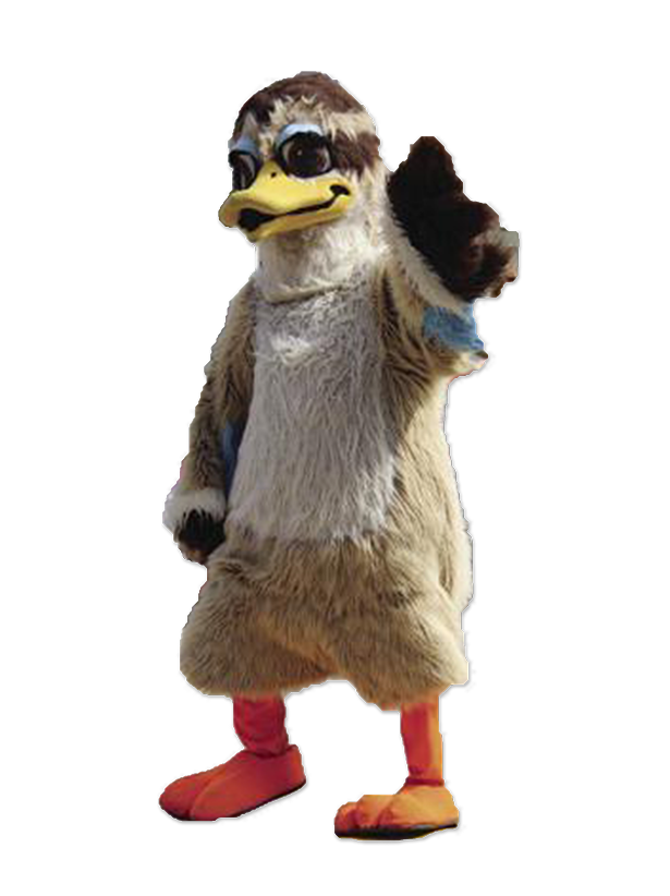 duck mascot